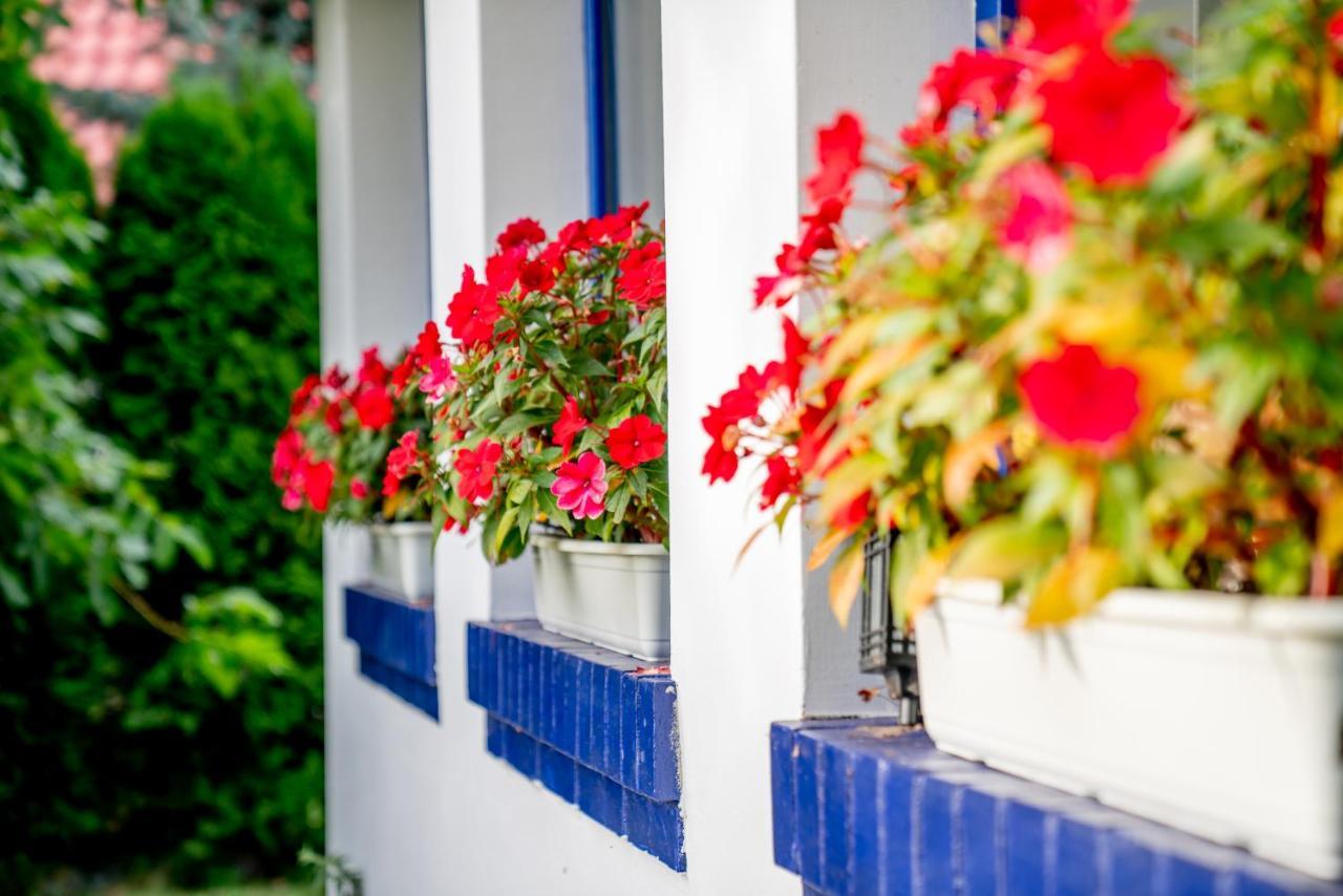 Bed and Breakfast Holistyczne Ujecie Kobyla Екстер'єр фото