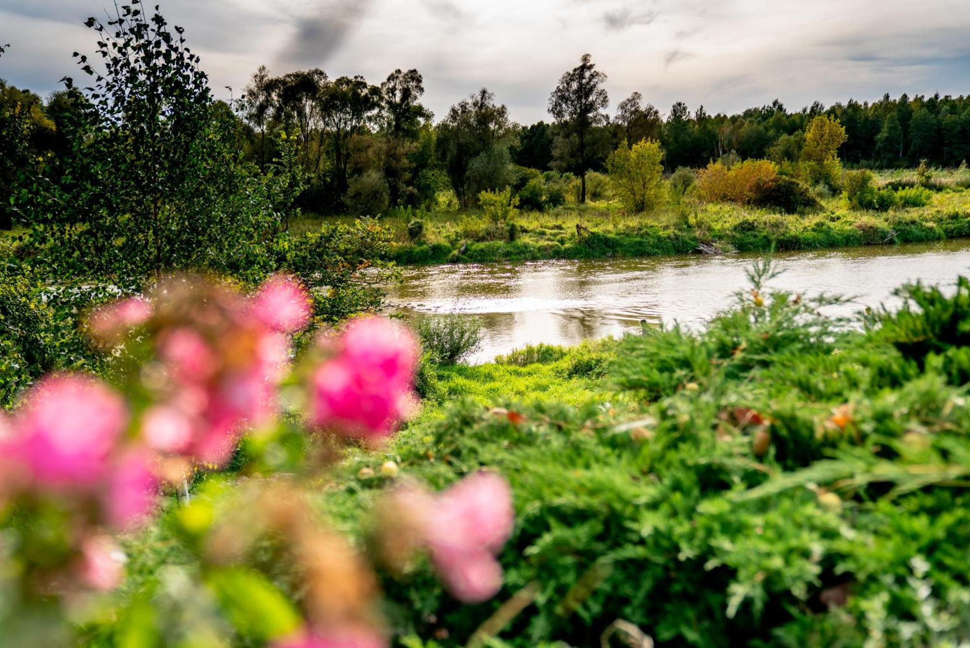 Bed and Breakfast Holistyczne Ujecie Kobyla Екстер'єр фото